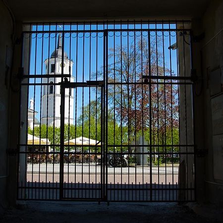 Cathedral Sq. Apartment - Odminiu Str. Vilnius Bagian luar foto