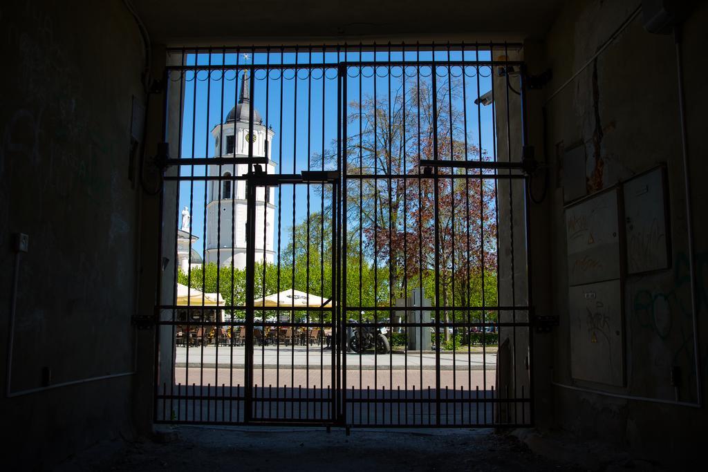 Cathedral Sq. Apartment - Odminiu Str. Vilnius Bagian luar foto