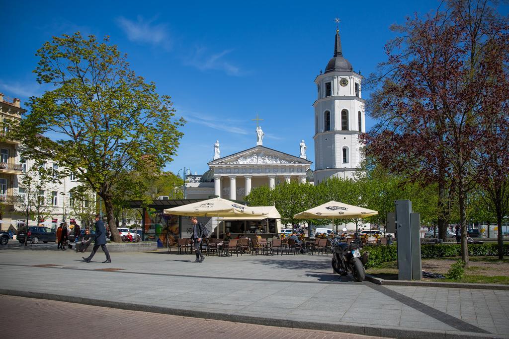 Cathedral Sq. Apartment - Odminiu Str. Vilnius Bagian luar foto